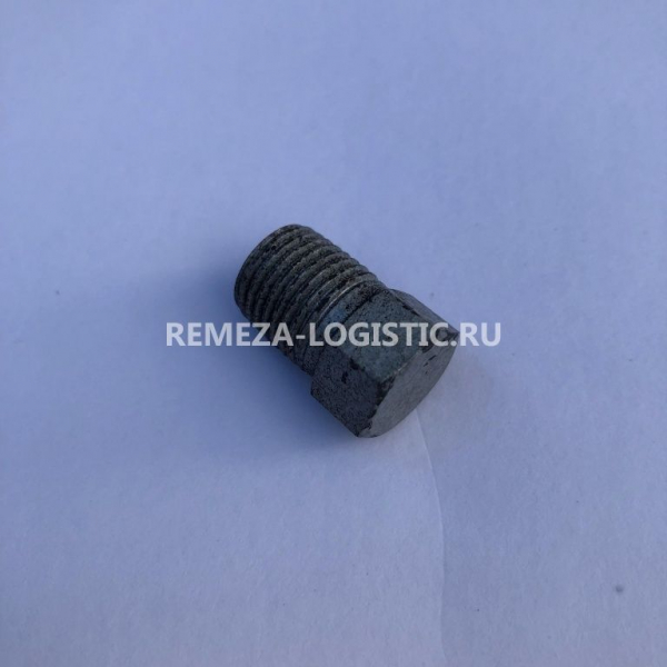 R 21167003 (21168001) Пробка залива масла Z3/4" LT100
